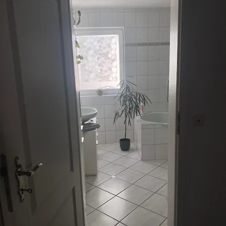 Kleine Quelle Aach Aach (Konstanz)